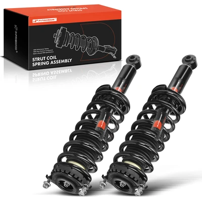 2 Pcs Rear Complete Strut & Coil Spring Assembly