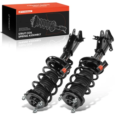 2 Pcs Front Complete Strut & Coil Spring Assembly