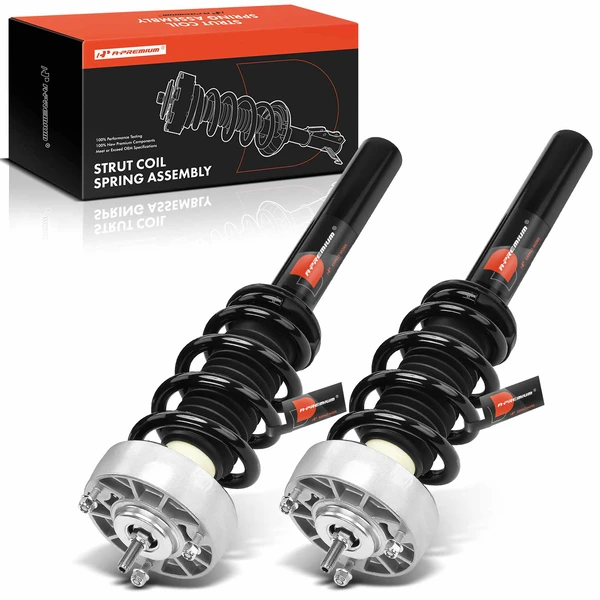 2014-2018 BMW X5 2-Pc Strut and Coil Spring Assembly Set Front Driver & Passenger A-Premium APSA1960