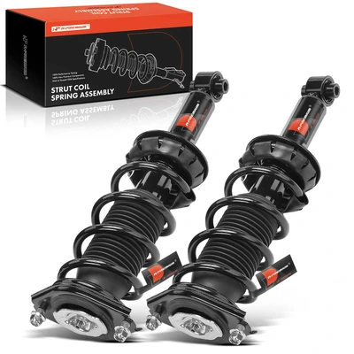 2 Pcs Rear Complete Strut & Coil Spring Assembly