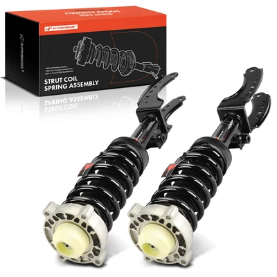 2 Pcs Front Complete Strut & Coil Spring Assembly