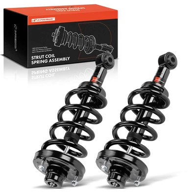 2 Pcs Rear Complete Strut & Coil Spring Assembly
