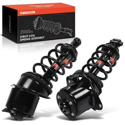 2 Pcs Rear Complete Strut & Coil Spring Assembly
