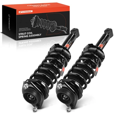 2 Pcs Rear Complete Strut & Coil Spring Assembly