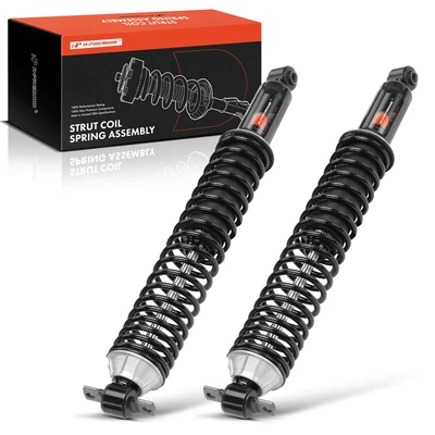 2 Pcs Rear Complete Strut & Coil Spring Assembly