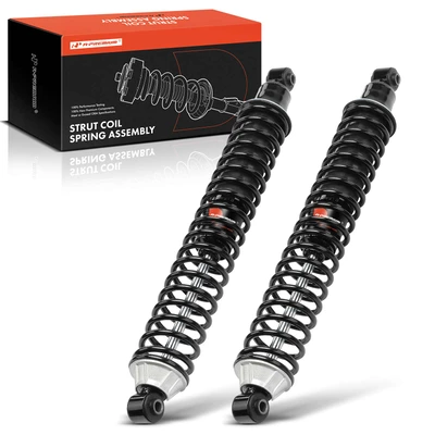 2 Pcs Rear Complete Strut & Coil Spring Assembly