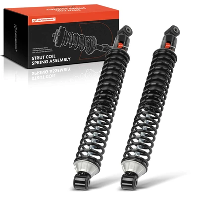 2 Pcs Rear Complete Strut & Coil Spring Assembly