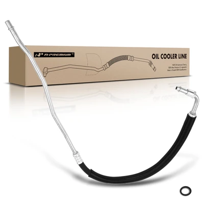 Outlet Lower Engine Oil Cooler Hose Assembly