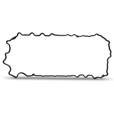 Engine Oil Pan Gasket