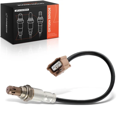 O2 Oxygen Sensor