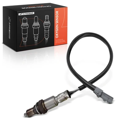 O2 Oxygen Sensor