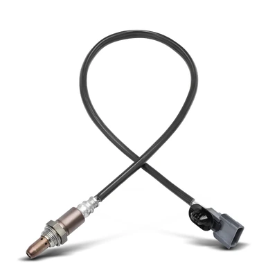 O2 Oxygen Sensor
