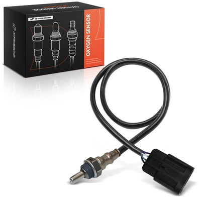 O2 Oxygen Sensor