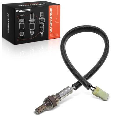 Oxygen Sensor