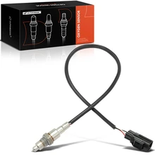 O2 Oxygen Sensor