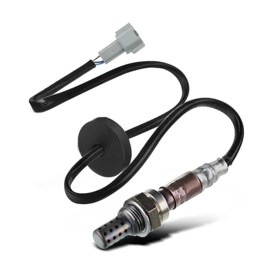 O2 Oxygen Sensor