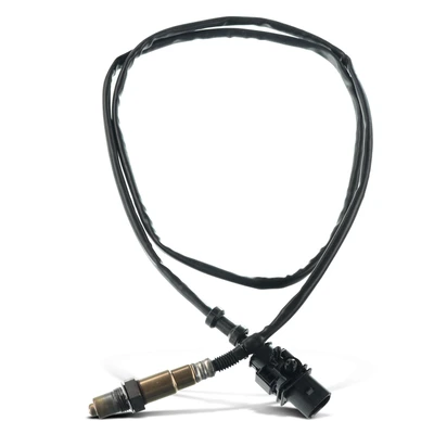 O2 Oxygen Sensor