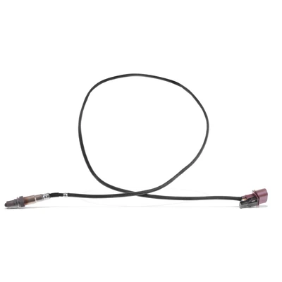 O2 Oxygen Sensor