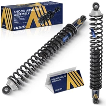 AISIN Pair Rear Strut & Coil Spring Assembly