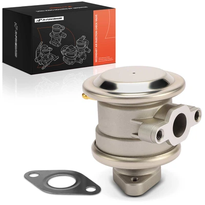 Secondary Air Injection Check Valve