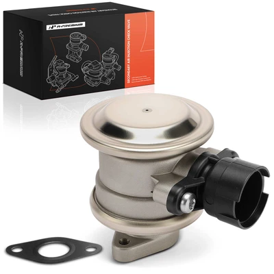 Secondary Air Injection Check Valve