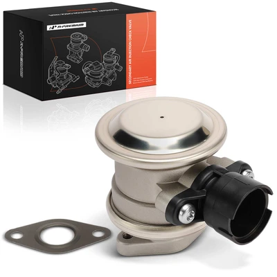 Secondary Air Injection Check Valve