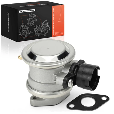 Secondary Air Injection Check Valve