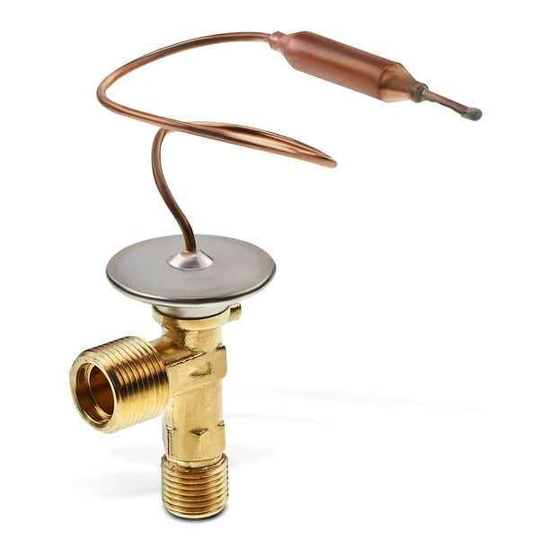 AC Expansion Valve for 1999-2001 Isuzu VehiCROSS