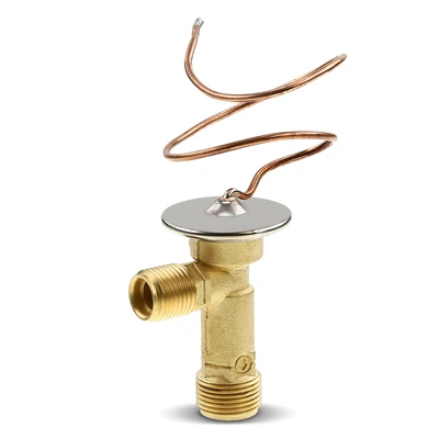 Rear AC Expansion Valve