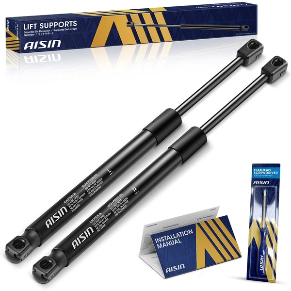 AISIN GASCH-00573 2 Pcs Rear Tailgate Lift Support Shock Strut for 2005-2008 Dodge Magnum