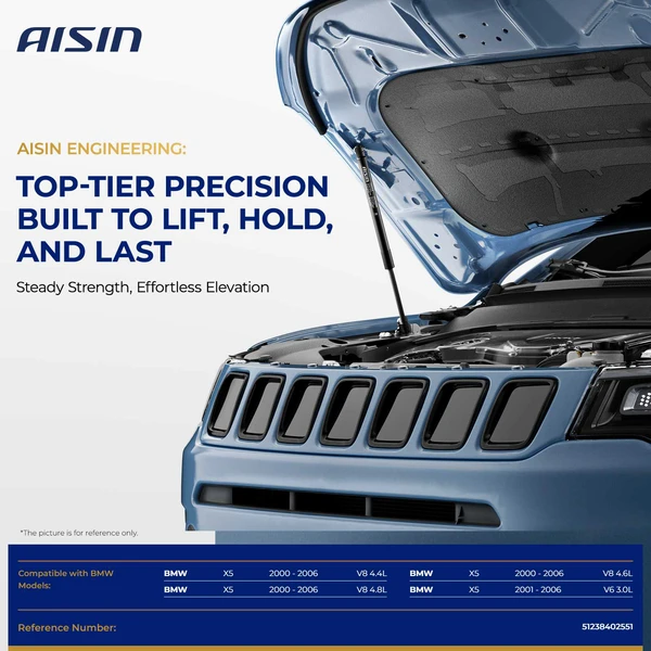 AISIN GASBM-00260 2 Pcs Hood Lift Support Shock Strut for 2000-2006 BMW X5