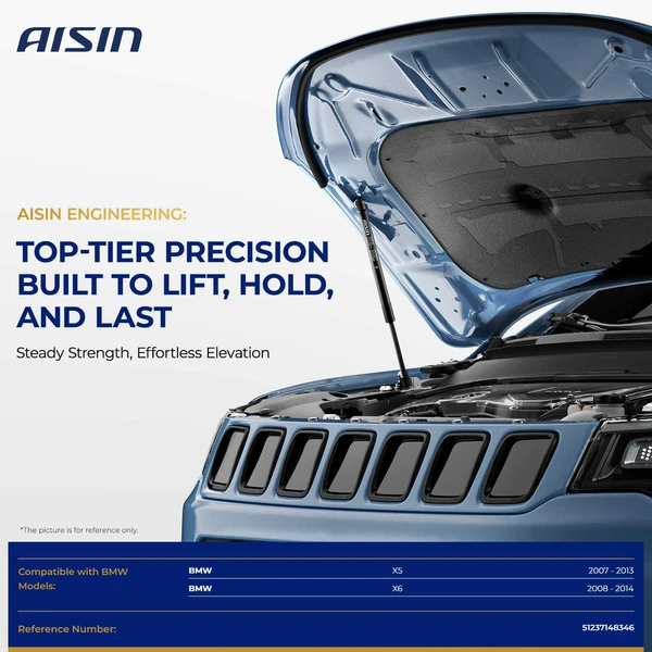 AISIN GASBM-00262 2 Pcs Front Hood Lift Support for 2007-2013 BMW X5
