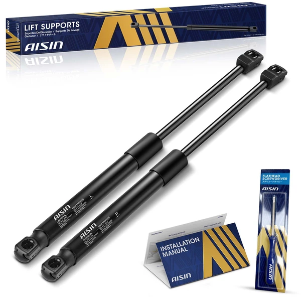 AISIN GASCH-01017 2 Pcs Rear Tailgate Lift Support for 2002-2007 Jeep Liberty