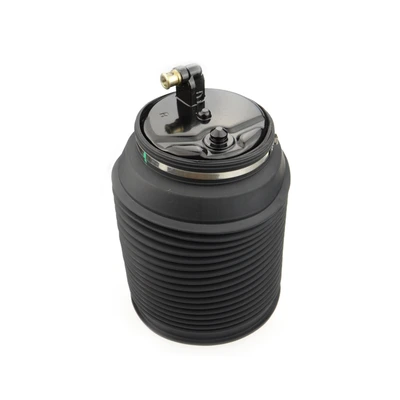 Rear Passenger Air Suspension Spring Bags