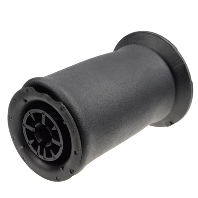 Rear Driver or Passenger Air Suspension Spring Bags