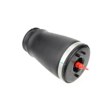 Rear Passenger Air Suspension Spring Bags