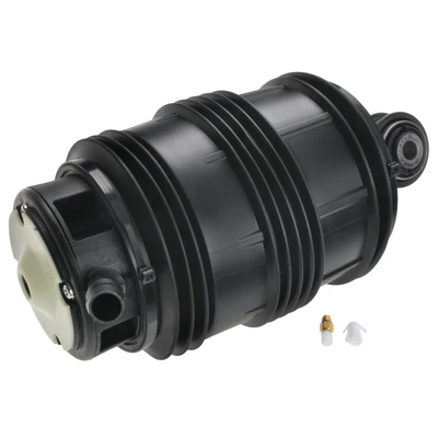 Rear Passenger Air Suspension Spring Bags