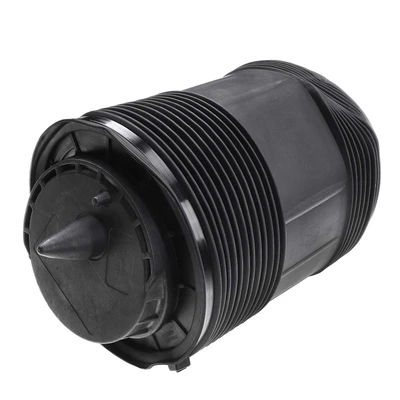 Rear Passenger Air Suspension Spring Bags