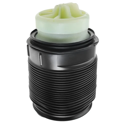 Rear Passenger Air Suspension Spring Bags