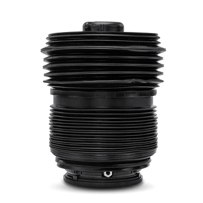 Rear Driver or Passenger Air Suspension Spring Bag