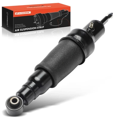 Rear Driver or Passenger Air Suspension Strut