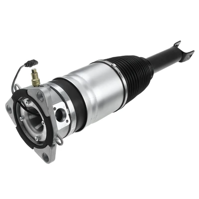 Rear Driver Air Suspension Strut