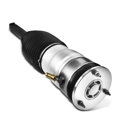 Rear Passenger Air Suspension Strut