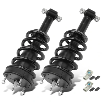 2 Pcs Front Driver & Passenger Complete Strut Assembly