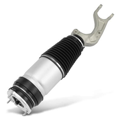 Front Driver or Passenger Air Suspension Strut