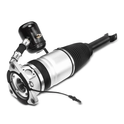 Rear Passenger Air Suspension Strut
