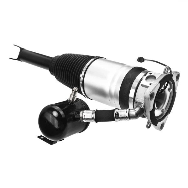 2 Pcs Rear Air Suspension Strut for Audi A8 Quattro 2003-2009 4.2L 6.0L