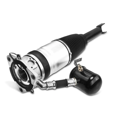 Rear Driver Air Suspension Strut