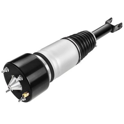 Front Driver or Passenger Air Suspension Strut