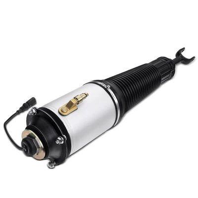 Front Passenger Air Suspension Strut